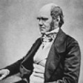 Charles Darwin, 1855